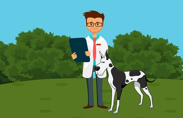 How Often Should I Take My Pet To The Vet For A Checkup?